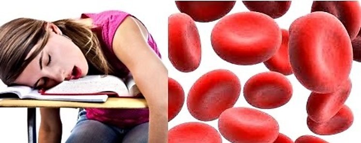  Hierro vital para tu metabolismo