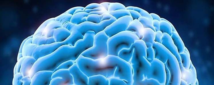 Resaltan capacidad del cerebro para compensar deterioro cognitivo