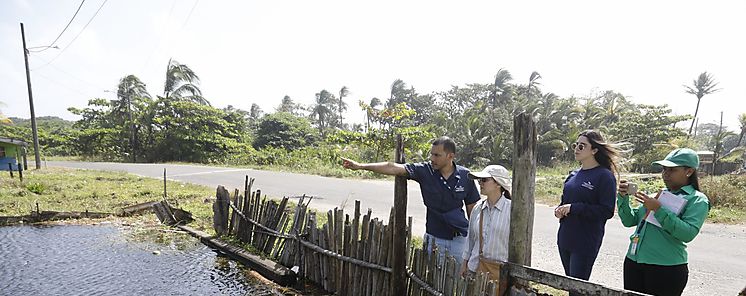 Ms de 88 mil estudios responsabilizan al hombre con cambio climtico