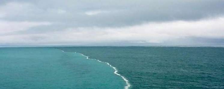 Atlntico y Mediterrneo vulnerables a la acidez