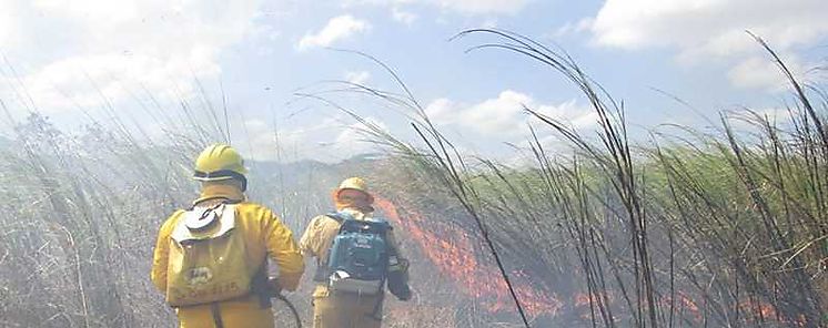 Afirman que incendios forestales sern cada vez ms frecuentes