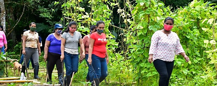 Mujeres rurales emprenden proyecto autosostenible durante la pandemia