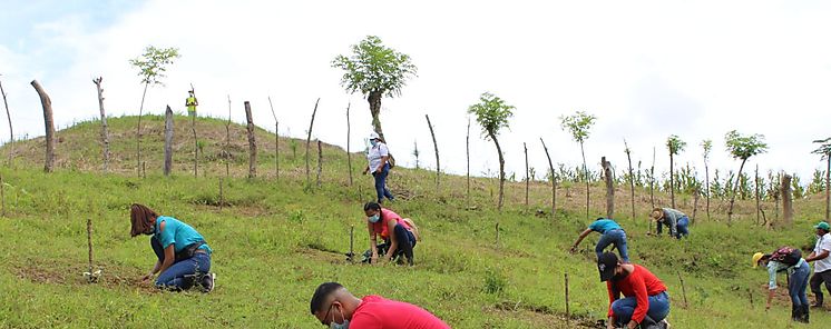 Clausura Herrera su Plan de Reforestacin 2020