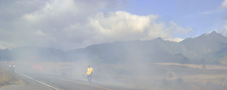 Bomberos preocupados por la incidencia de los incendios en el Covid19