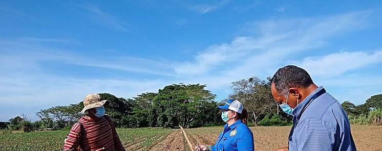 Coordinan acciones contra el trabajo infantil en Veraguas