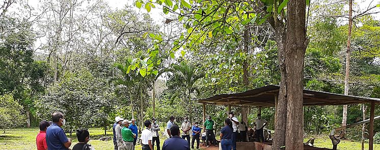 MiAMBIENTE presenta Escuela de Formacin Ambiental