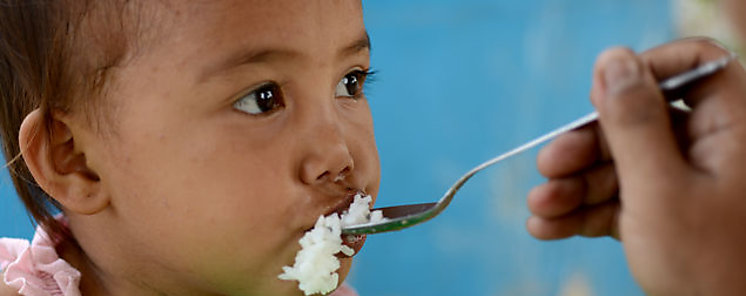 Banco de Alimentos Panam sigue nutriendo vidas