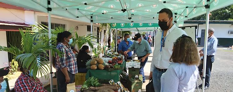 Productores de agricultura familiar de Panam Oeste recibieron equipos para instalar mercados locales