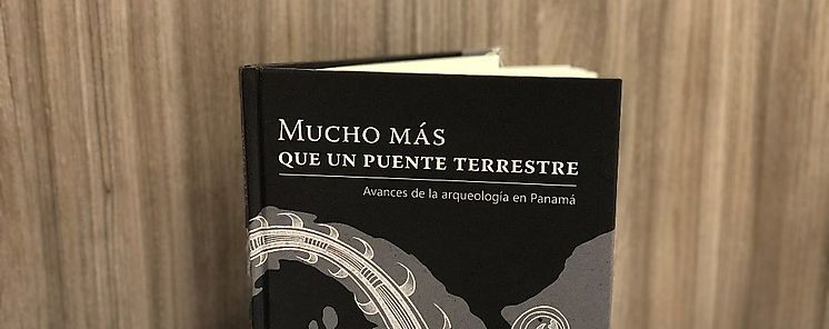 Panam mucho ms que un puente terrestre descarga el libro