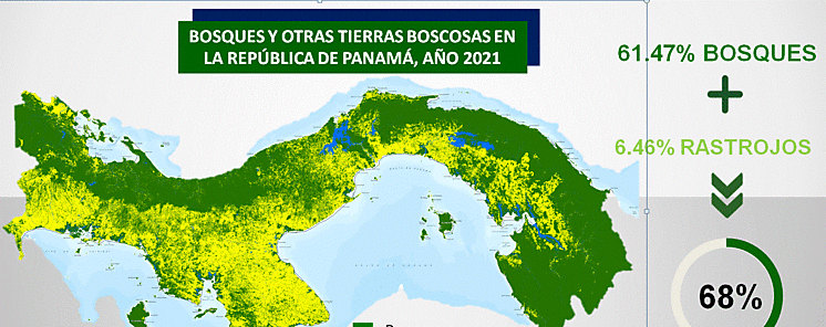 Panam incrementa en un 3 su cobertura boscosa