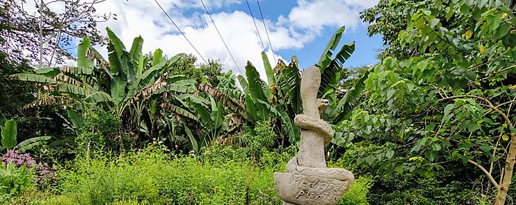 El Jardn Botnico de la UNACHI 