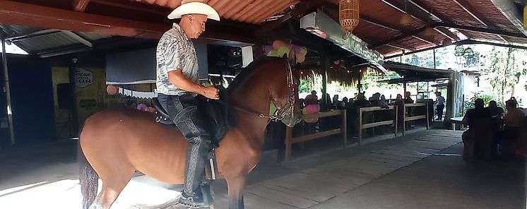  La Ternera    Restaurante Bar  Un concepto gastronmico que no podrs dejar de conocer camino a las playas o el interior del pas