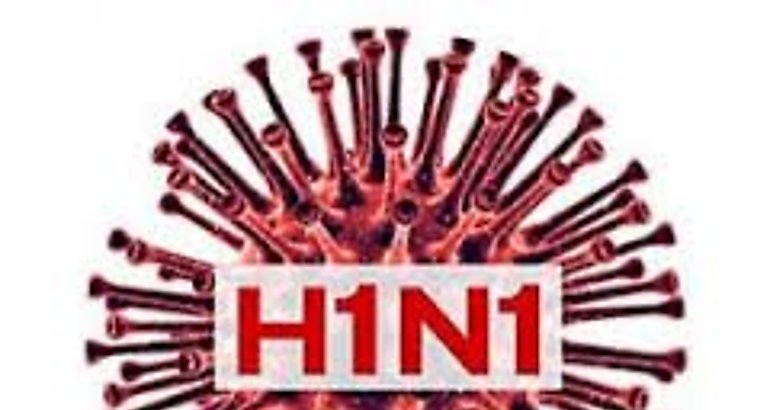 A H1N1