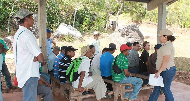 Voluntarios