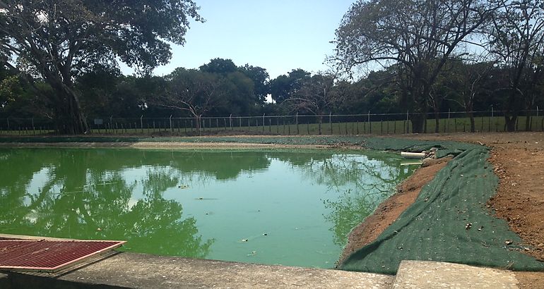 Lagunas de Oxidacin