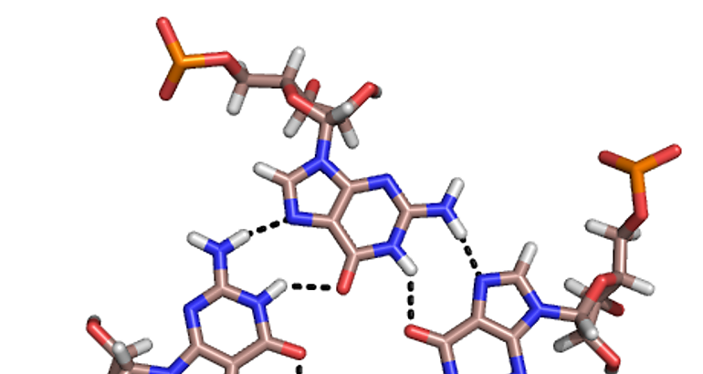 RNA