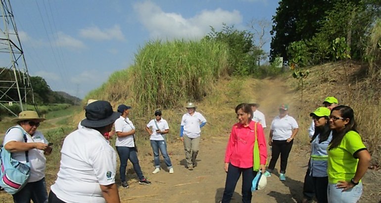 Unin Fenosa y medio Ambiente