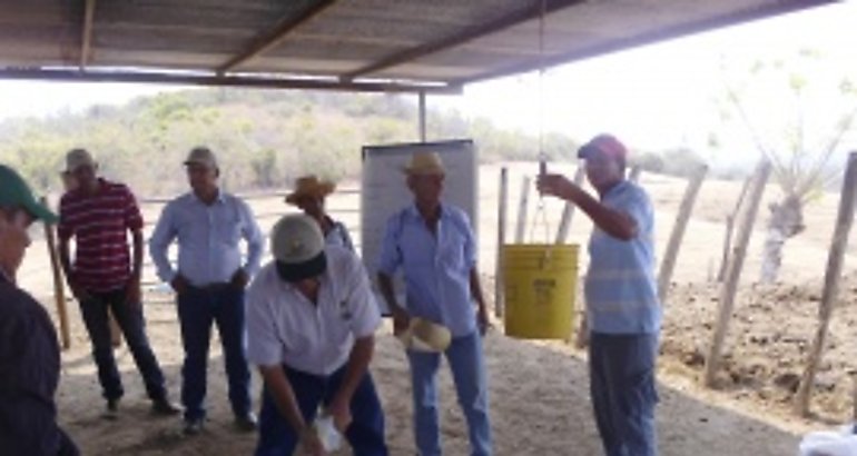 Formacin a productores 