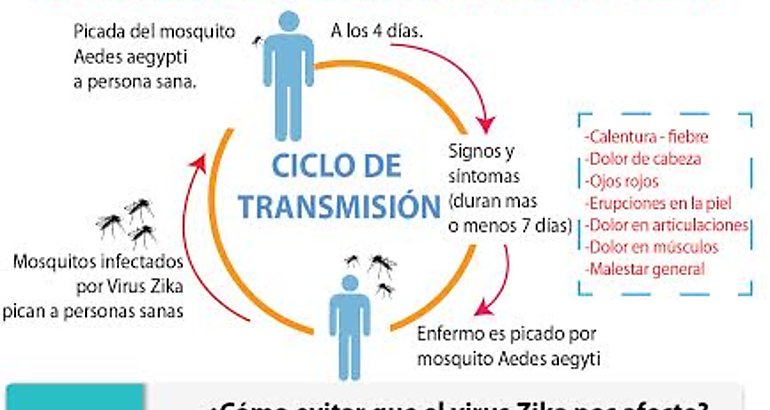 Campaa Zika 