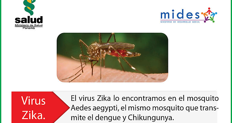 Campaa Zika 2