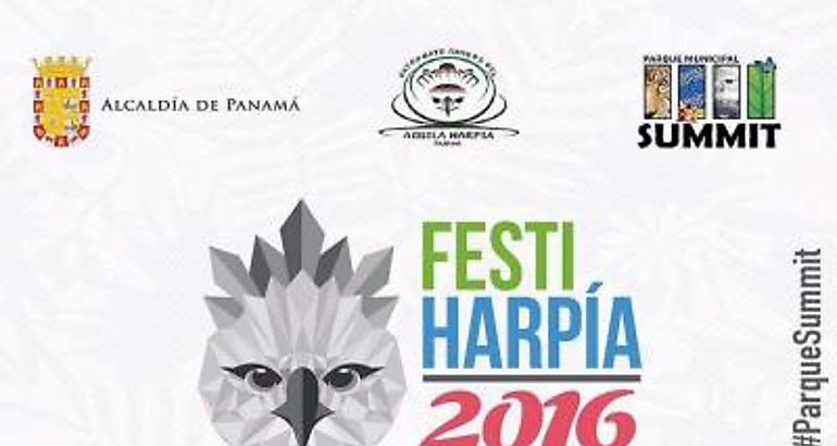 Summit en el Festi Harpa 2016