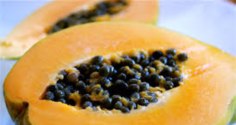 Papaya