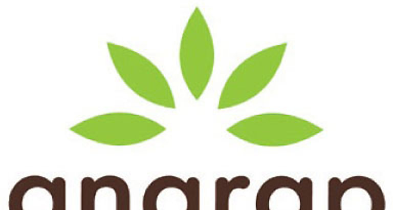 anarap logo