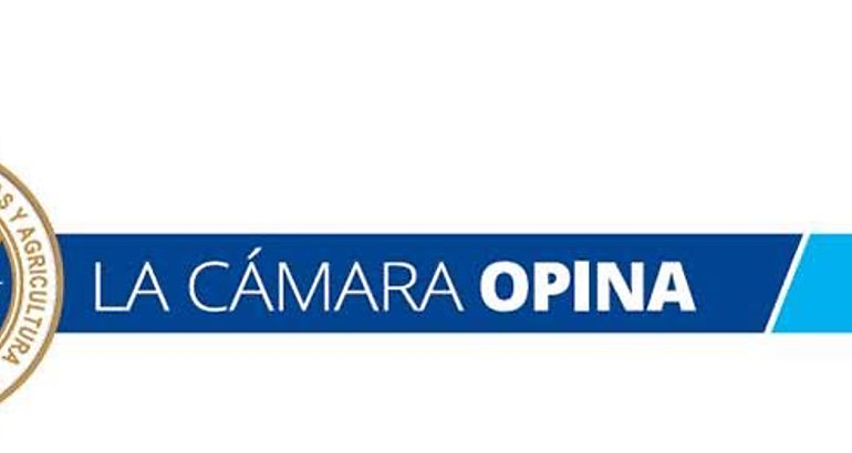 logo La camara  opina 