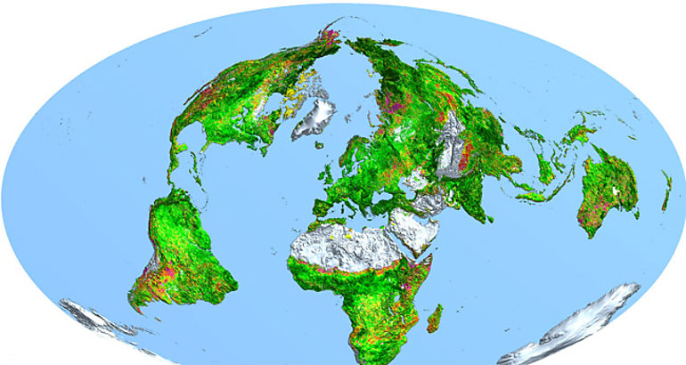 Mapa mundial