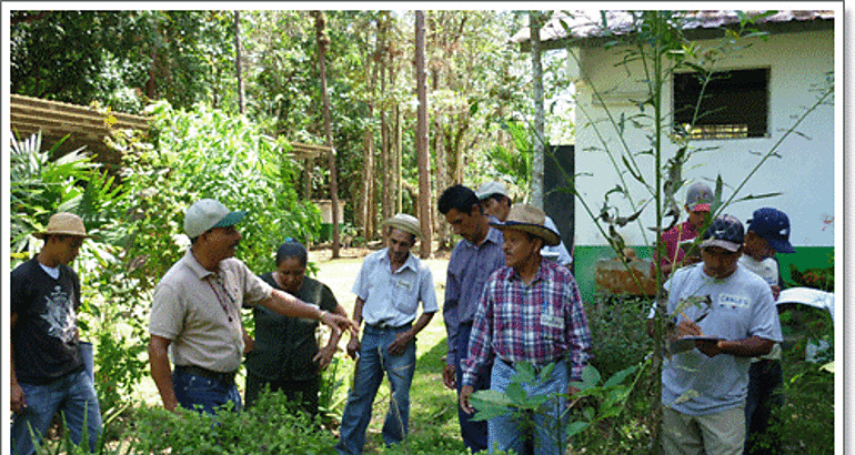 Forman promotores comunitarios en agroforestera