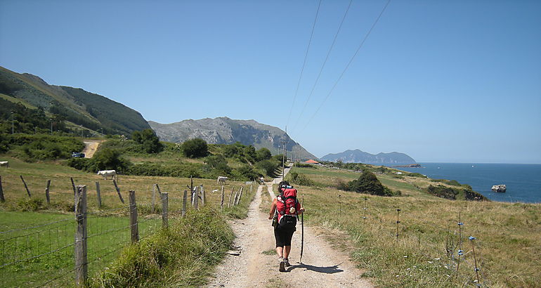 Peregrino camino