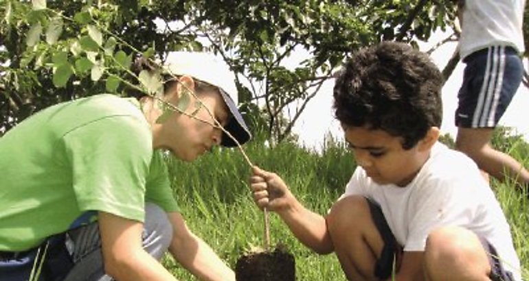 Reforestacin nios