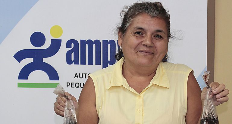 Romualda Aparicio Mndez