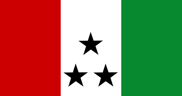 bandera Comarca NgbeBugl 