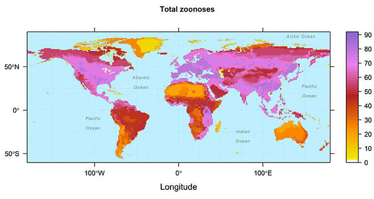 Mapa transmisin de enfermedades 