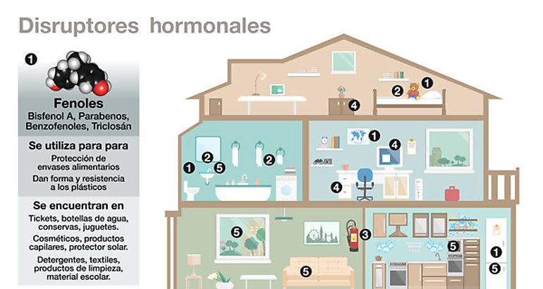 Disruptores hormonales