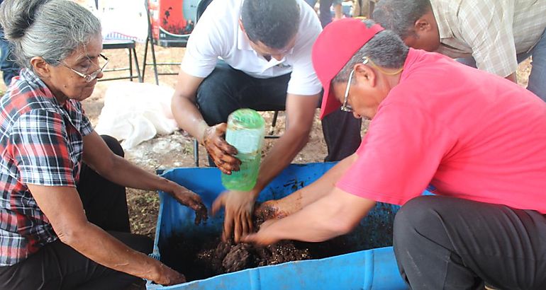 Bloques multinutricionales alimentacin bovina