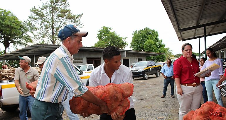 Entrega semillas Tubrculos Familias Unidas