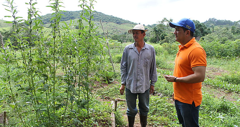 Las Minas Agricultura Orgnica