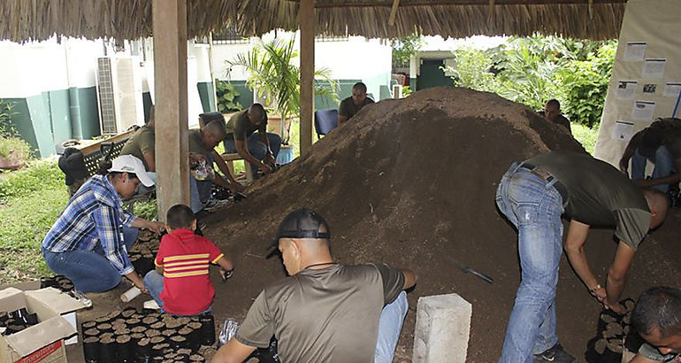 Reforestacin Llenado Bolsas