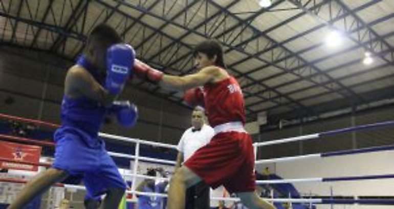 Pugilistas Guantes de Oro