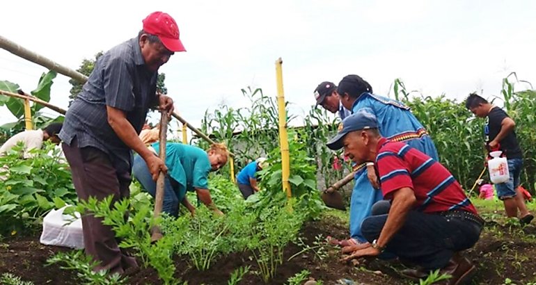 Huerto Comunitario Chiriqui