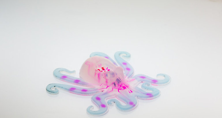 Octobot