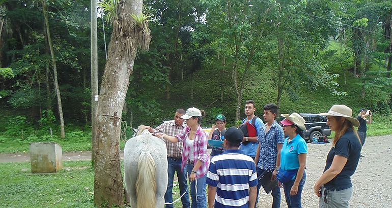 Taller de Bienestar Animal