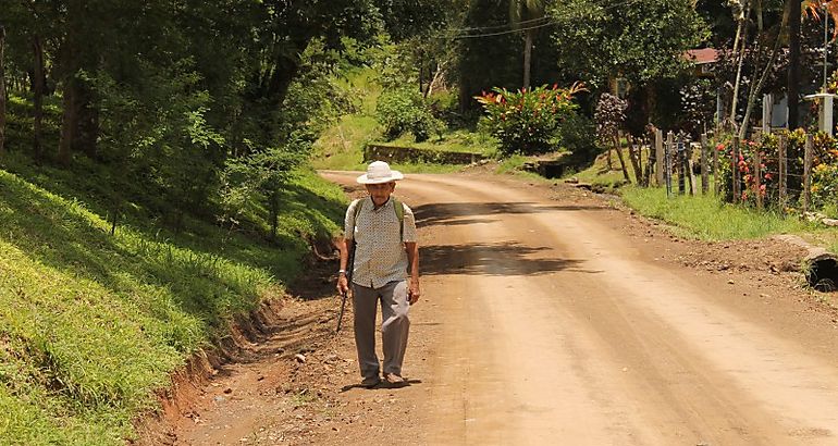 Camino