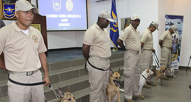 Perros policas