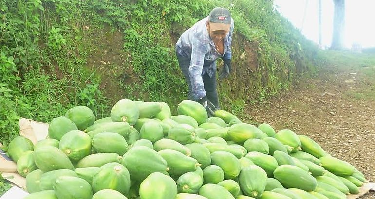 emprendimiento   mujer