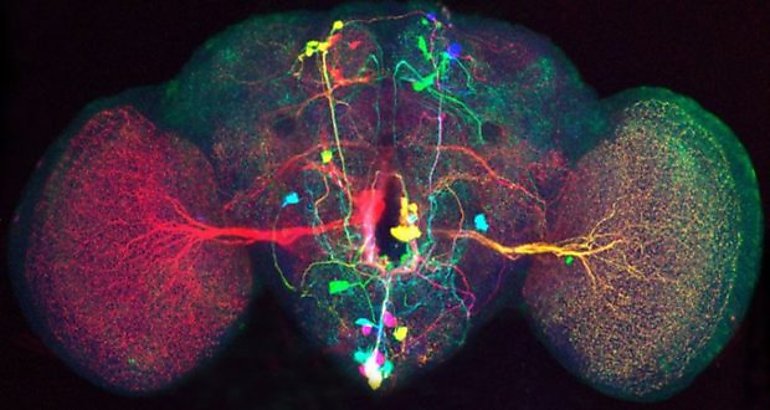 3D de una red neuronal