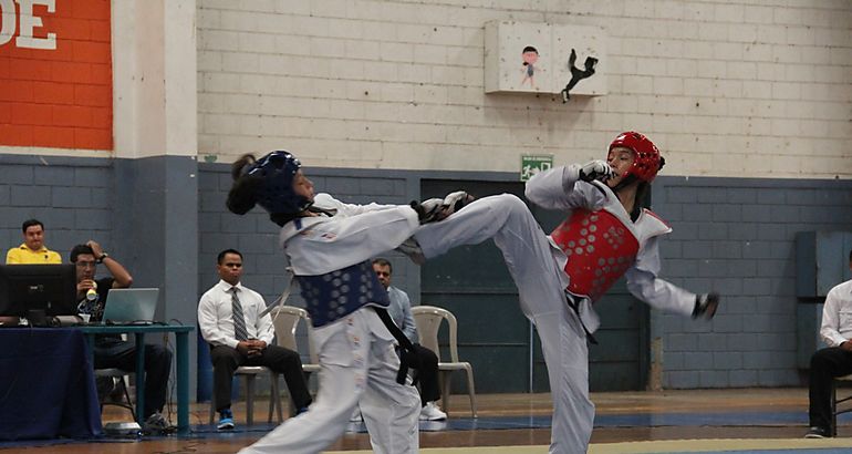 Taekwondo