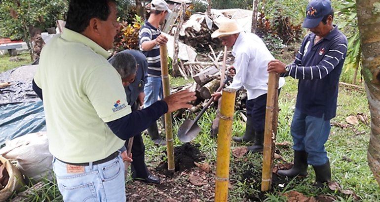 Agricultura Orgnica